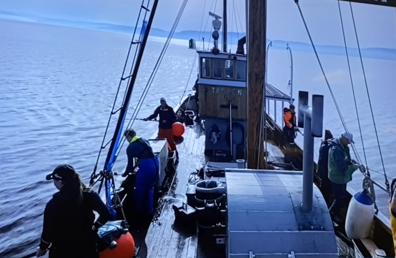 Havfiskeklubben i Trondheim